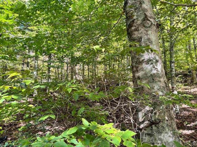 view of landscape featuring a forest view