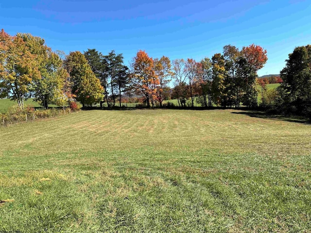 view of yard featuring a rural view