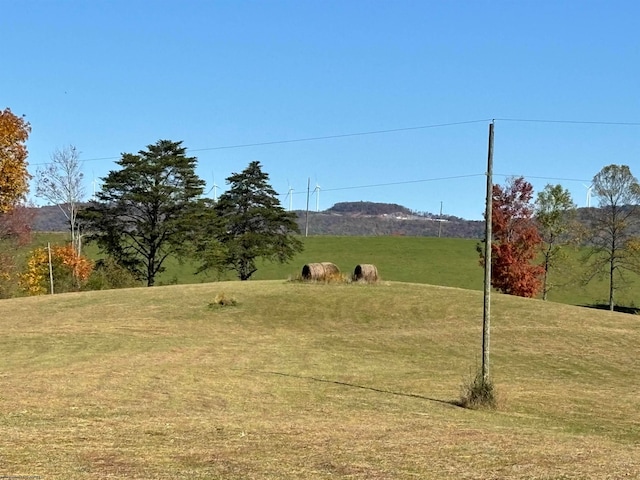 view of yard featuring a rural view