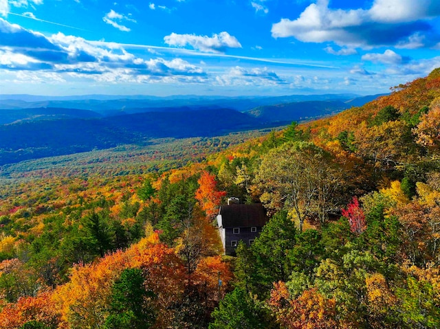 view of mountain feature