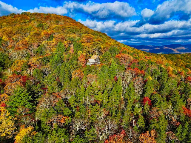 view of mountain feature