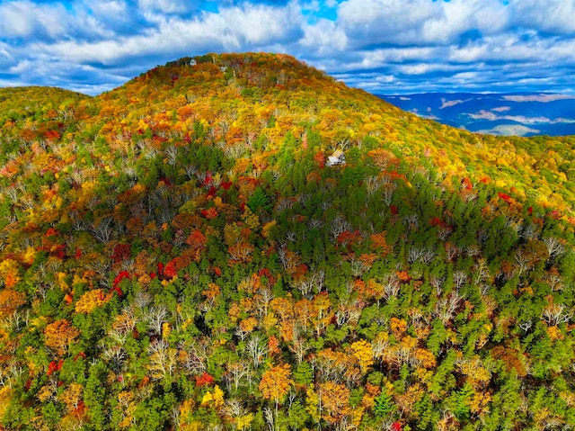 view of mountain feature