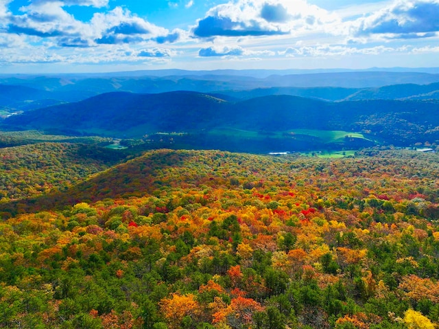 property view of mountains