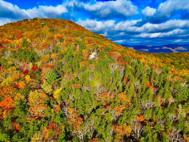 property view of mountains