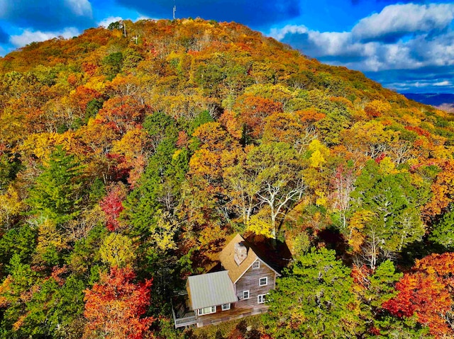 view of mountain feature