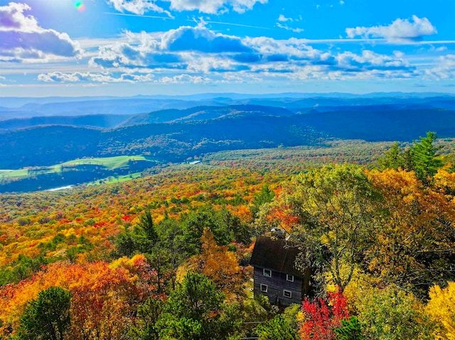 view of mountain feature