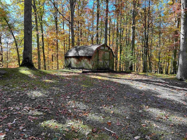 view of yard with a shed