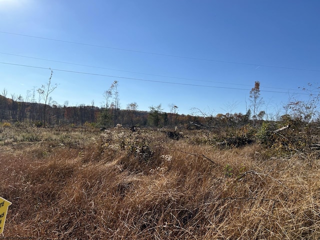 LOT12998 Hanlin Rd, Bruceton Mills WV, 26525 land for sale