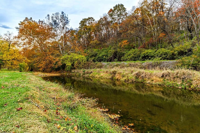 view of local wilderness featuring a water view