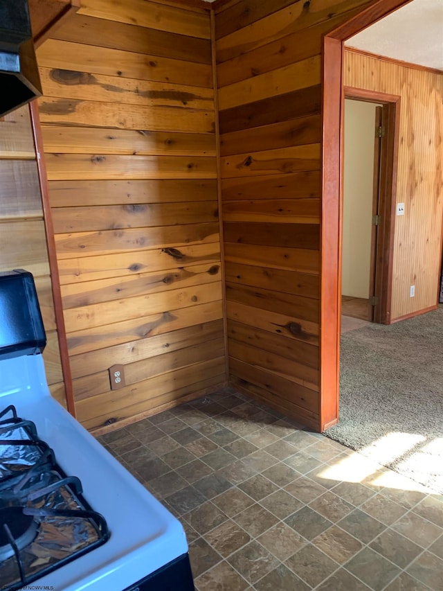 interior space with wood walls and carpet floors