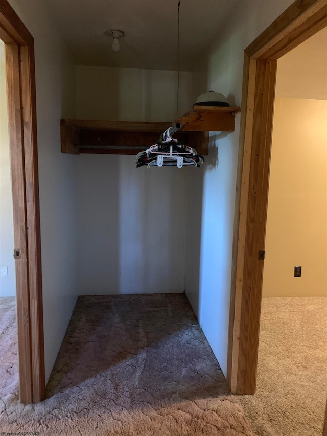 spacious closet with carpet flooring