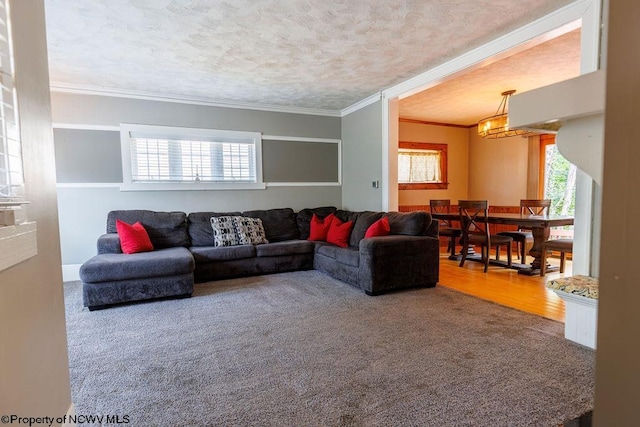 living room with crown molding, a textured ceiling, and wood-type flooring