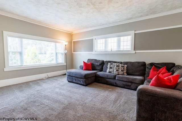 living room with ornamental molding, a textured ceiling, and carpet flooring