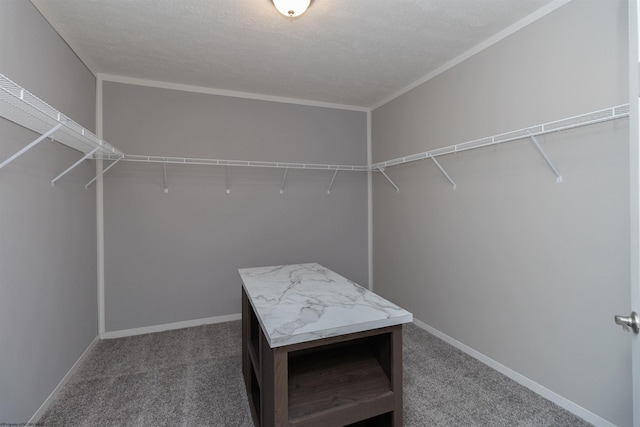 spacious closet with carpet floors