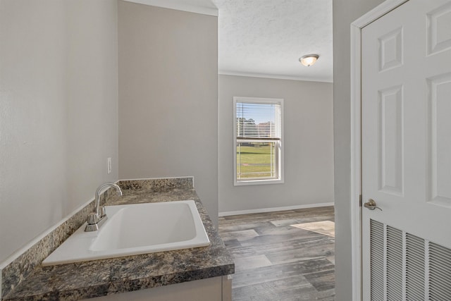 bathroom with vanity, a textured ceiling, and wood-type flooring