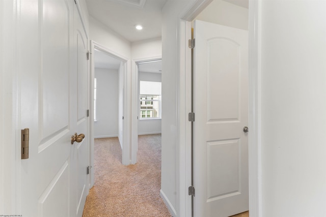 hall featuring light colored carpet