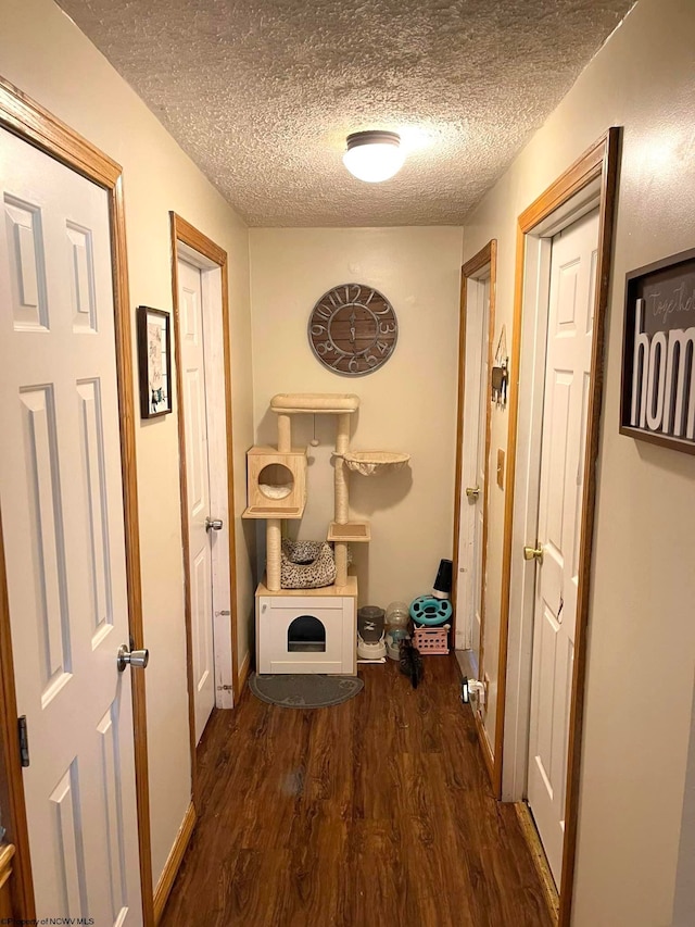 hallway with a textured ceiling and dark hardwood / wood-style floors