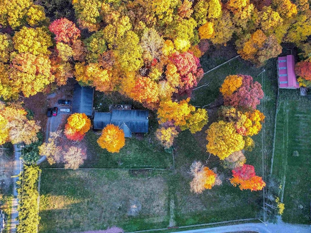 bird's eye view