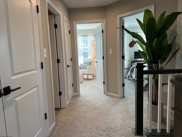 hall featuring light carpet and a wealth of natural light