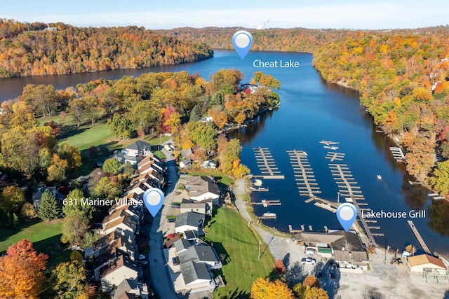bird's eye view featuring a water view and a view of trees
