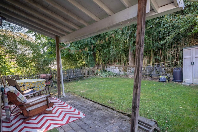 view of yard featuring a patio area