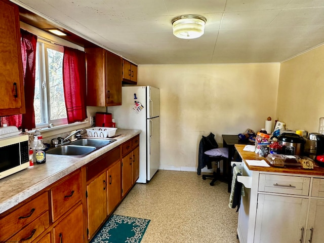 kitchen with sink and white refrigerator