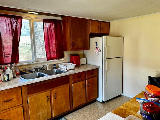 kitchen featuring sink and white refrigerator