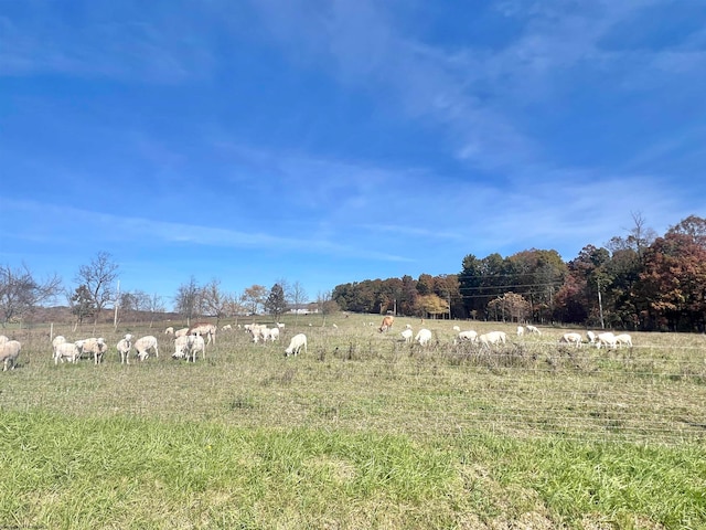 view of yard with a rural view