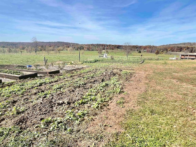 view of yard featuring a rural view