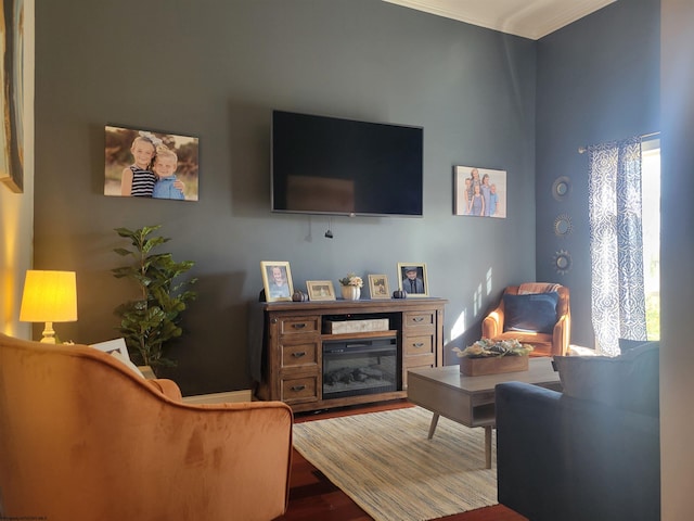 living room featuring hardwood / wood-style flooring