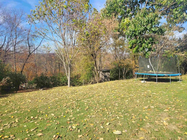 view of yard featuring a trampoline