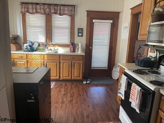 kitchen featuring white electric range oven and dark hardwood / wood-style floors