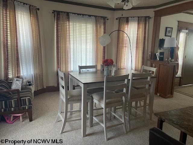 carpeted dining space featuring crown molding and ceiling fan