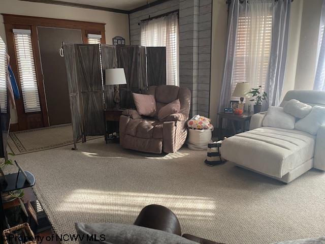 living room featuring ornamental molding and carpet floors