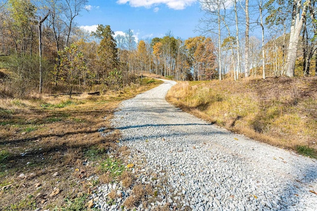 view of road