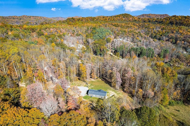 drone / aerial view featuring a mountain view