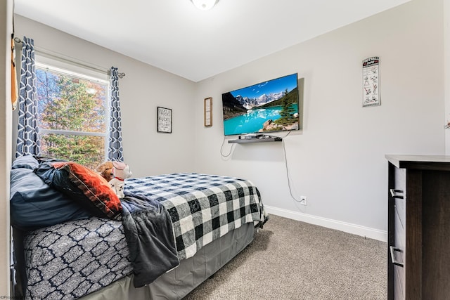 bedroom with carpet