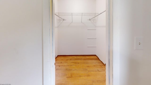 spacious closet featuring hardwood / wood-style floors