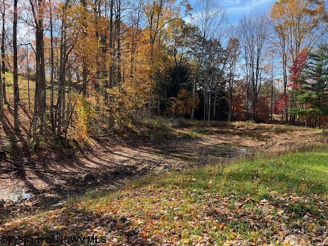 12275 Route 20 S Road, Rock Cave, WV 26234 - view of street