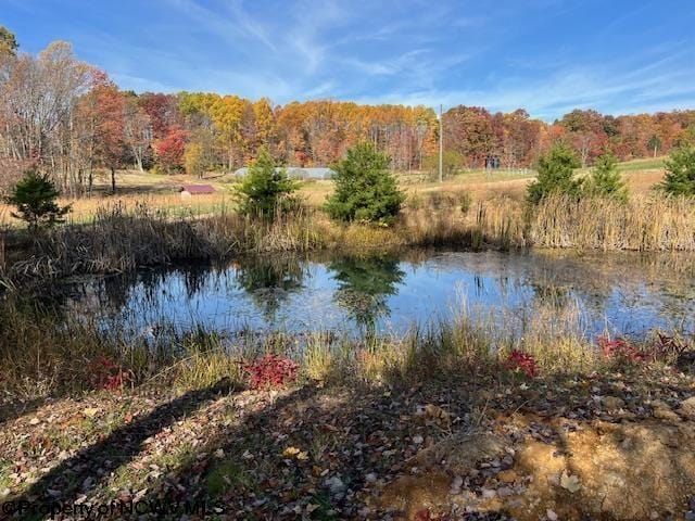 12275 Route 20 S Road, Rock Cave, WV 26234 - water view with a forest