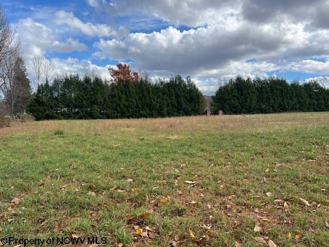 TBD Chenoweth Creek Road, Elkins WV, 26241 land for sale