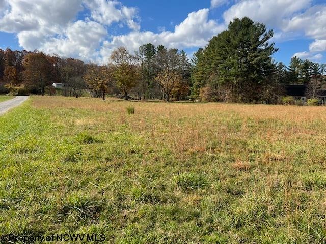 Listing photo 3 for TBD Chenoweth Creek Road, Elkins WV 26241