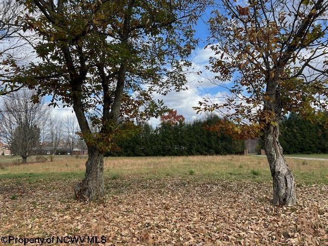 TBD Chenoweth Creek Rd, Elkins, WV 26241