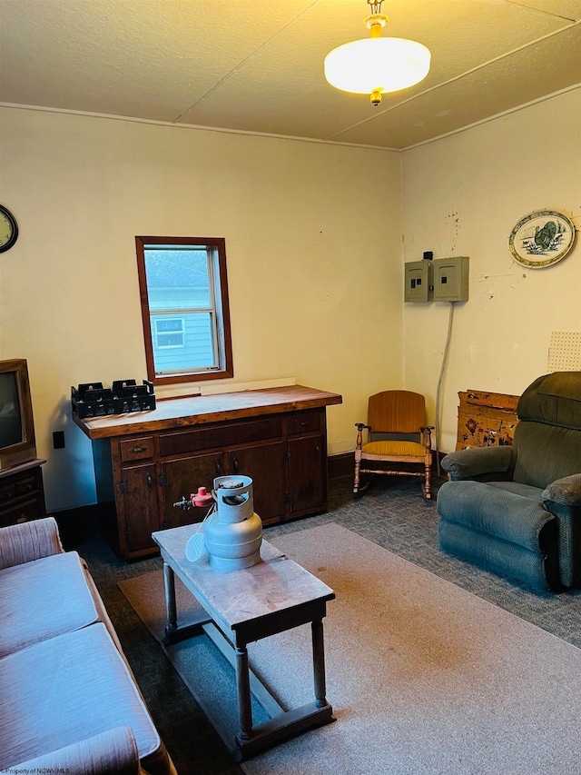 living room featuring dark colored carpet