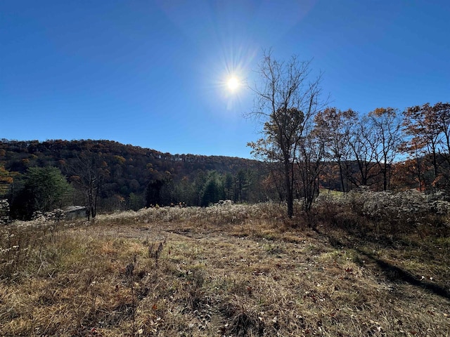 1299 Nellie Hole Rd, Salem WV, 26426 land for sale