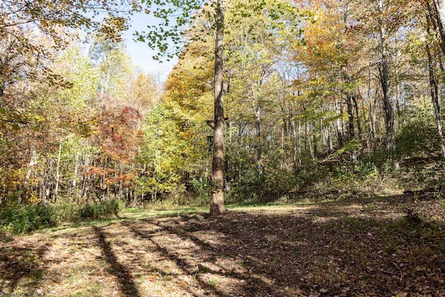 view of local wilderness