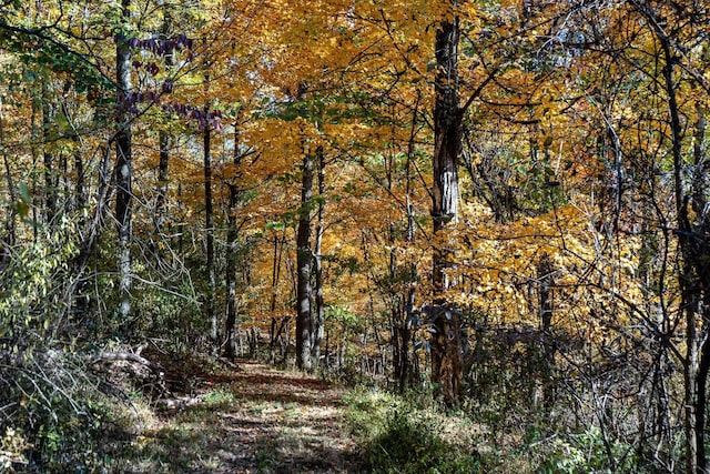 view of nature