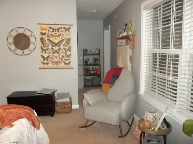 bedroom featuring a textured ceiling and carpet flooring