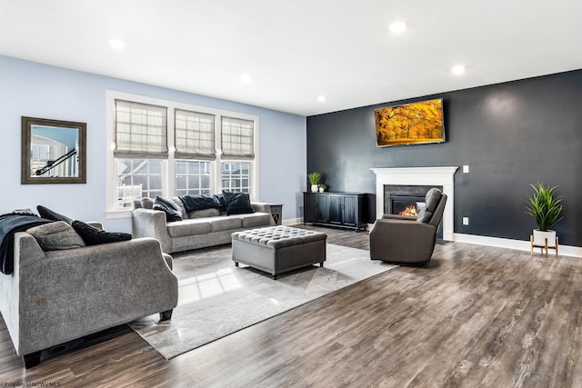 living room featuring wood-type flooring