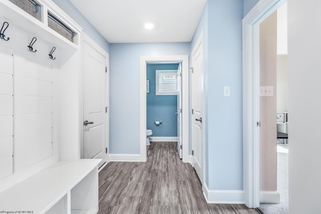 mudroom featuring hardwood / wood-style floors